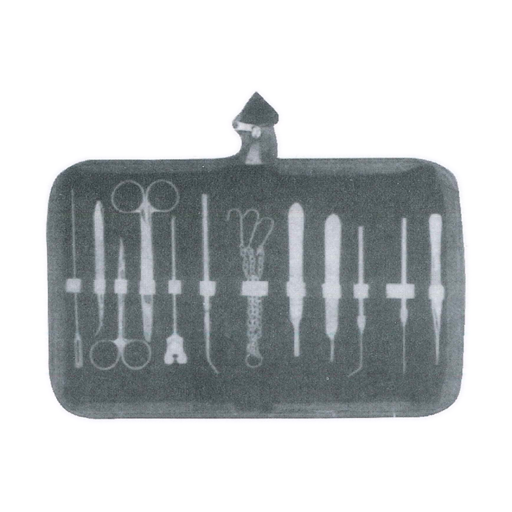 Dissecting Set – Probe with Eye, CVD Fine Forcep, Iris Scissor (MB1-053)