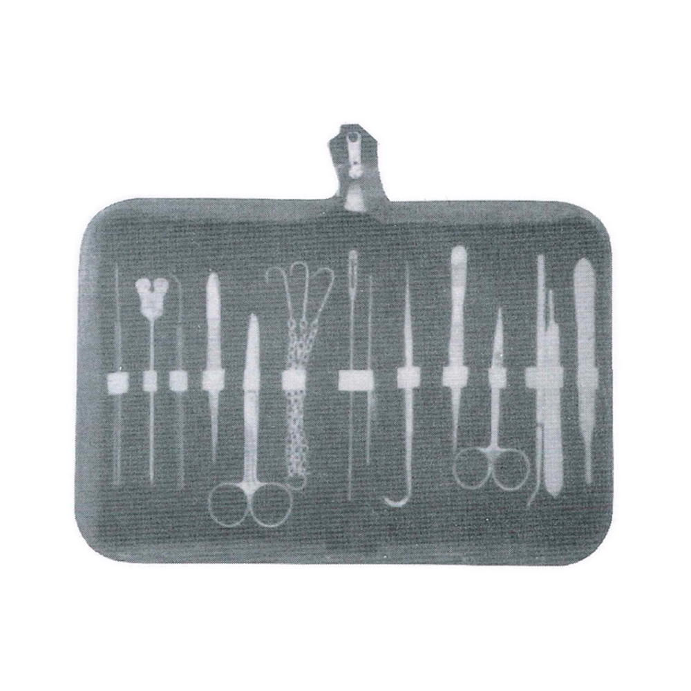 Dissecting Set – Teasing Needle STR, Grooved Director, Teasing Needle CVD (MB1-054)