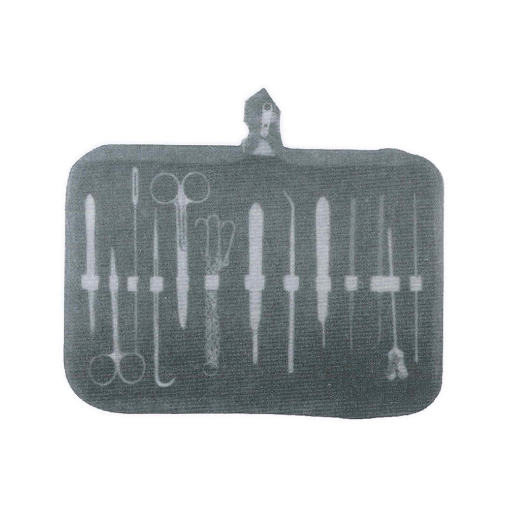 Dissecting Set – Fine STR Forcep with Pin, Iris Scissor, Probe with Eye (MB1-055)