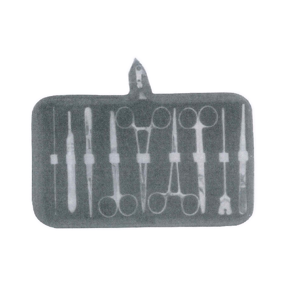 Dissecting Set – Probe Double End, B.P. Handle No. 4, 1×2 Teeth Forcep (MB1-058)