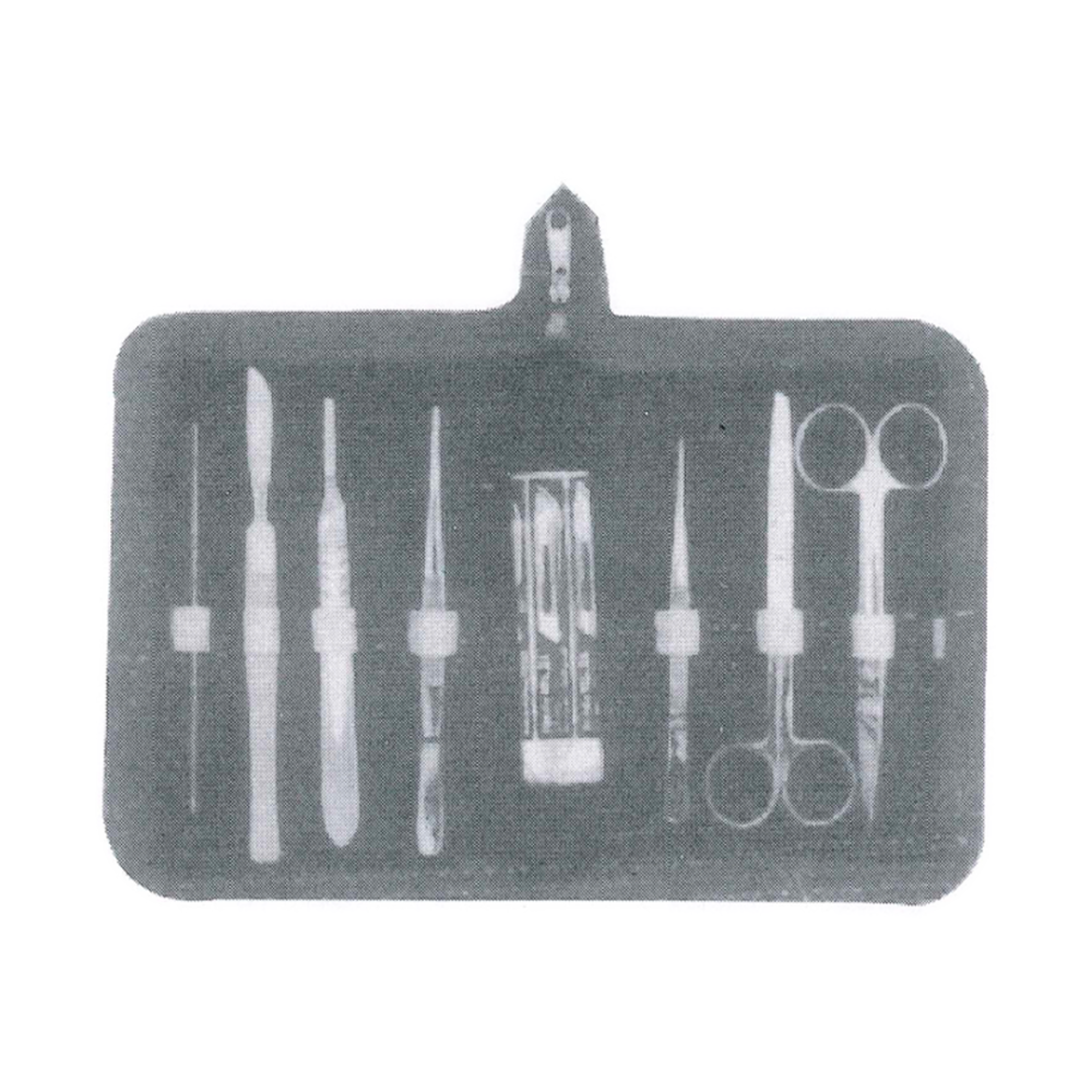 Dissecting Set – Probe Double 12.5 cm, Scalpel, B.P. Handle No. 4 (MB1-067)