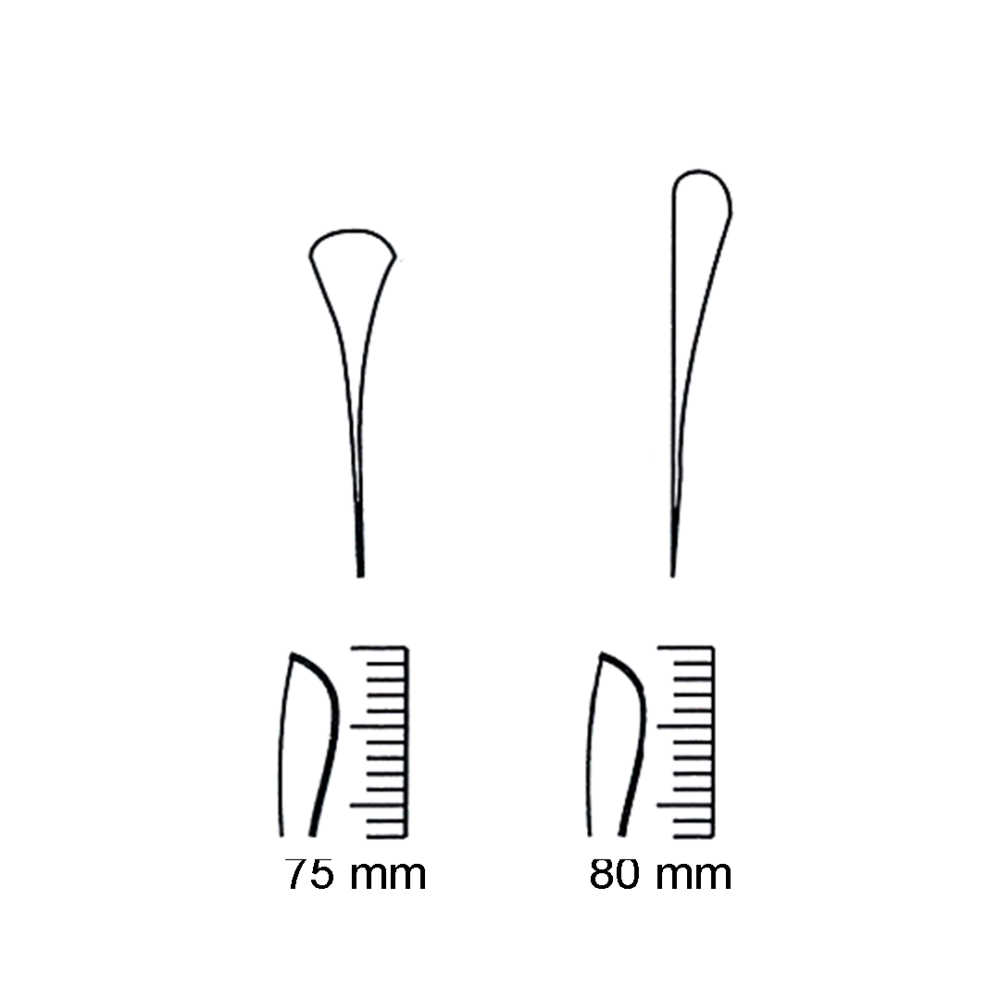 Charriere Amputation & Resection Saw Blade 75 mm / 80 mm (MB3-079)