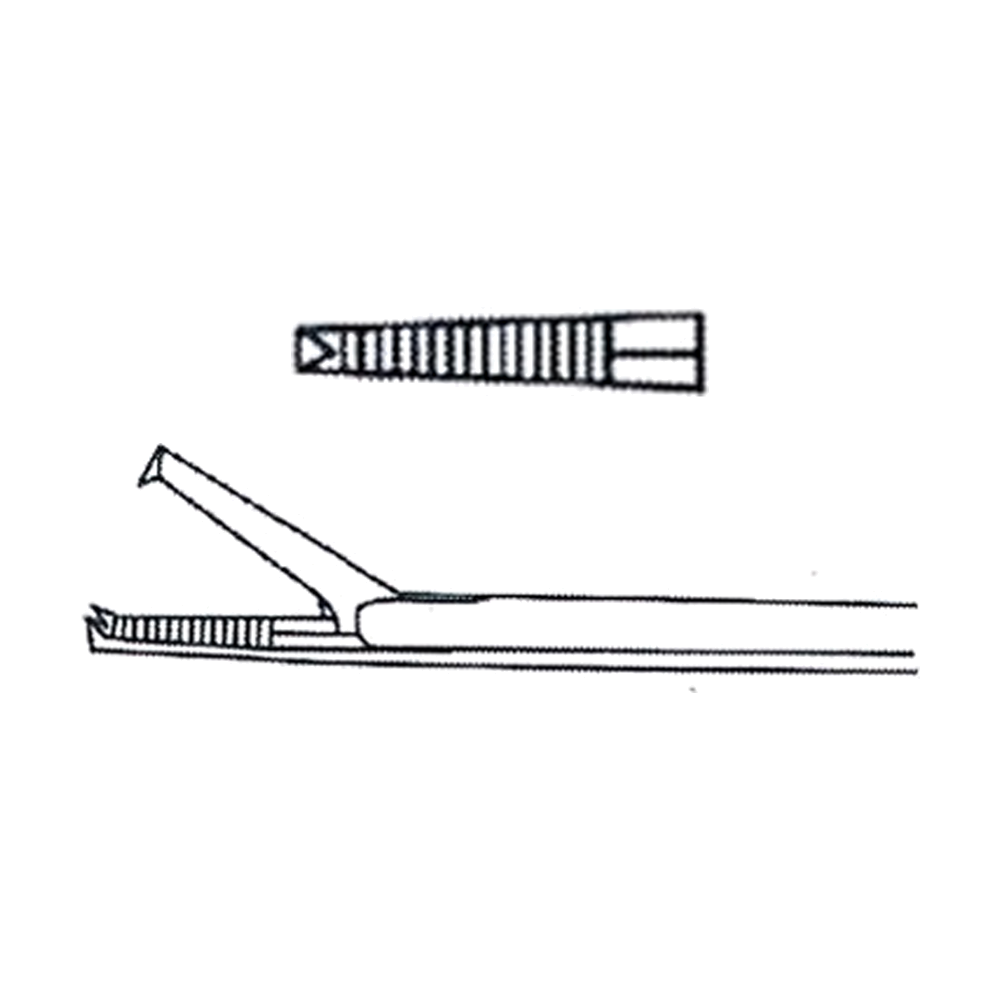 Hartmann Ear Forceps, X = 8.5 cm, 3 1/4" (MB10-114)