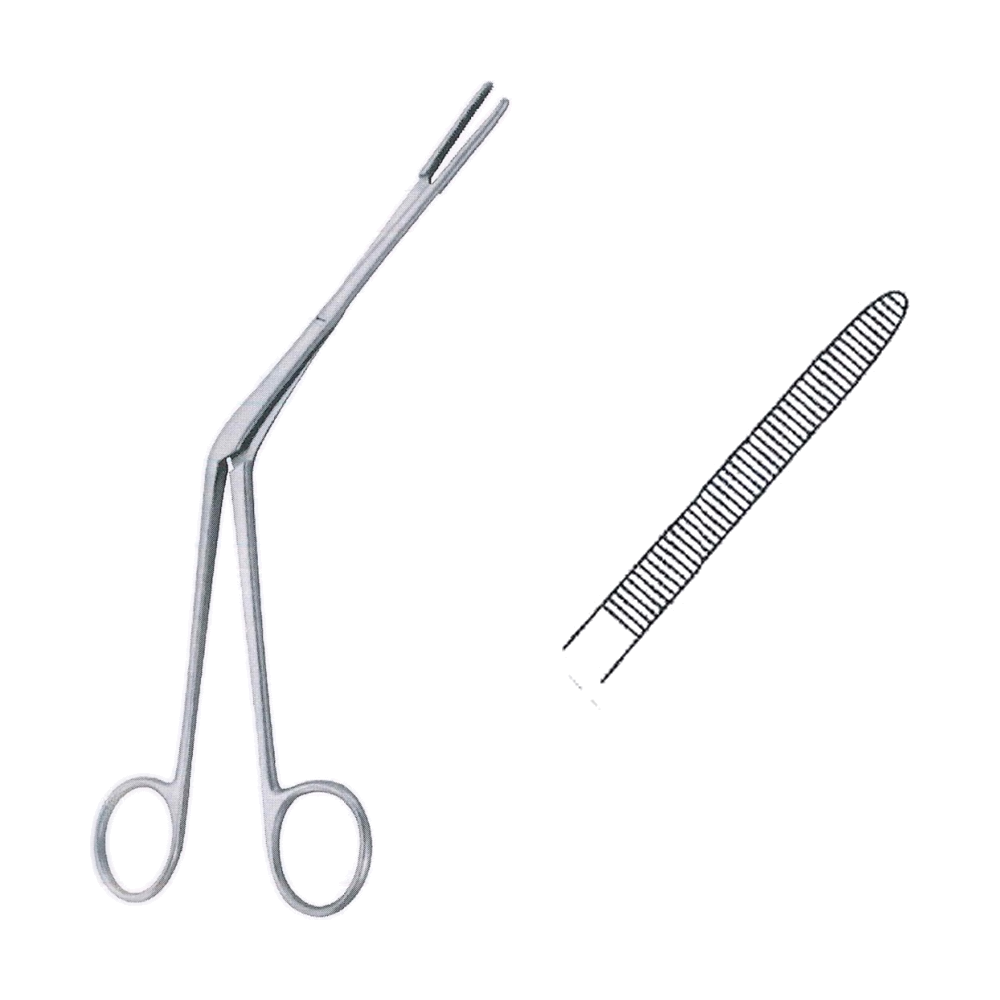 Westmacott Nasal Polypus and Septum Forceps 20 cm, 8" (MB10-174)