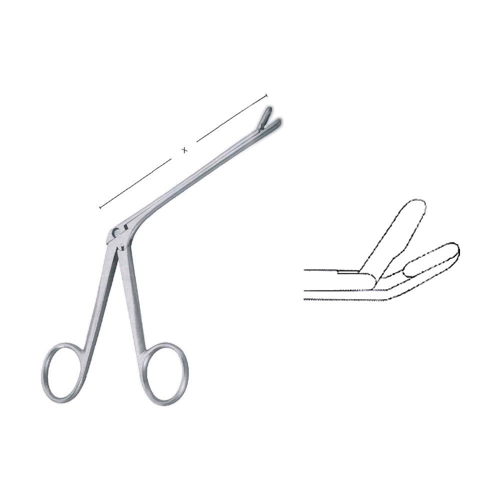 Takahashi Nasal Cutting Forceps, X = 12 cm, 4 3/4", 3.5 mm x 10 mm (MB10-191)