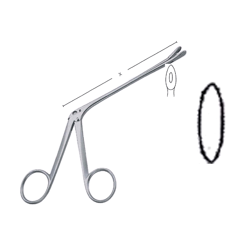 Weil Nasal Cutting Forceps, X = 12 cm, 4 3/4" (MB10-197)