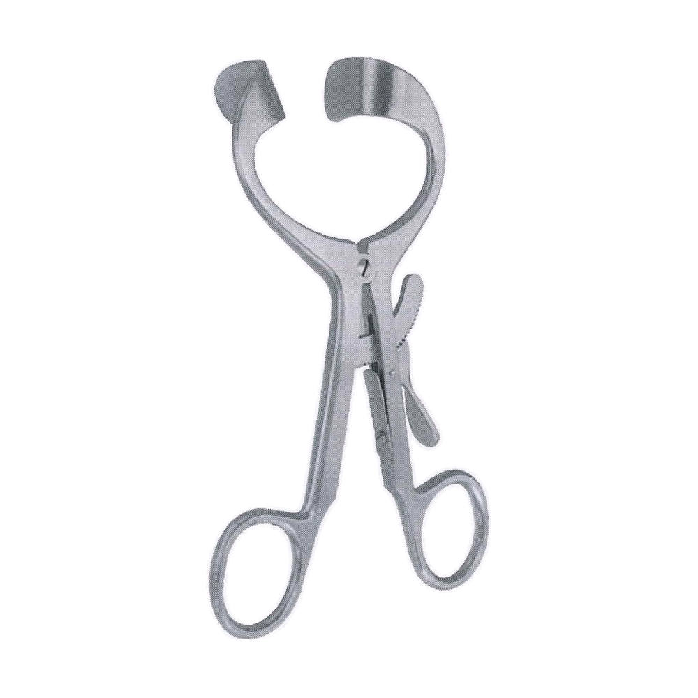 Molt Mouth Gag 14 cm, 5 1/2", For Adults (MB10-315)