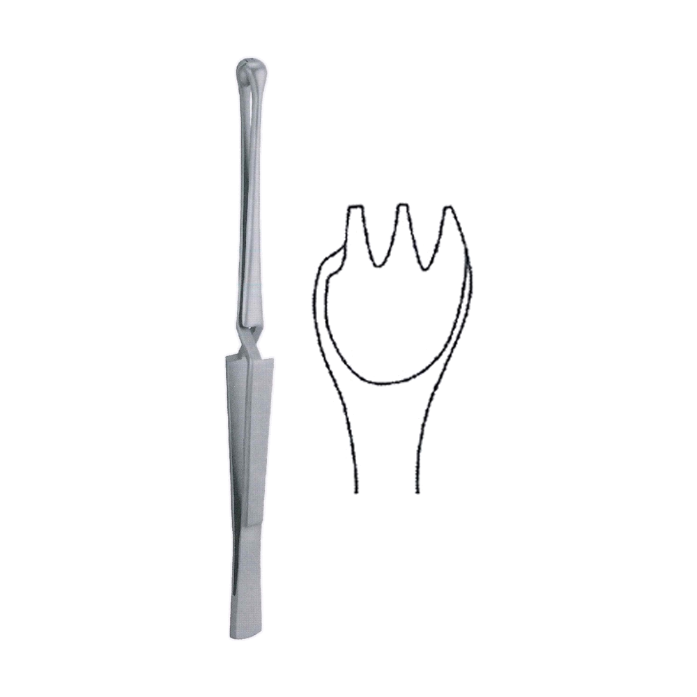 Marschik Tonsil Seizing Forceps 22 cm, 8 3/4" (MB10-321)