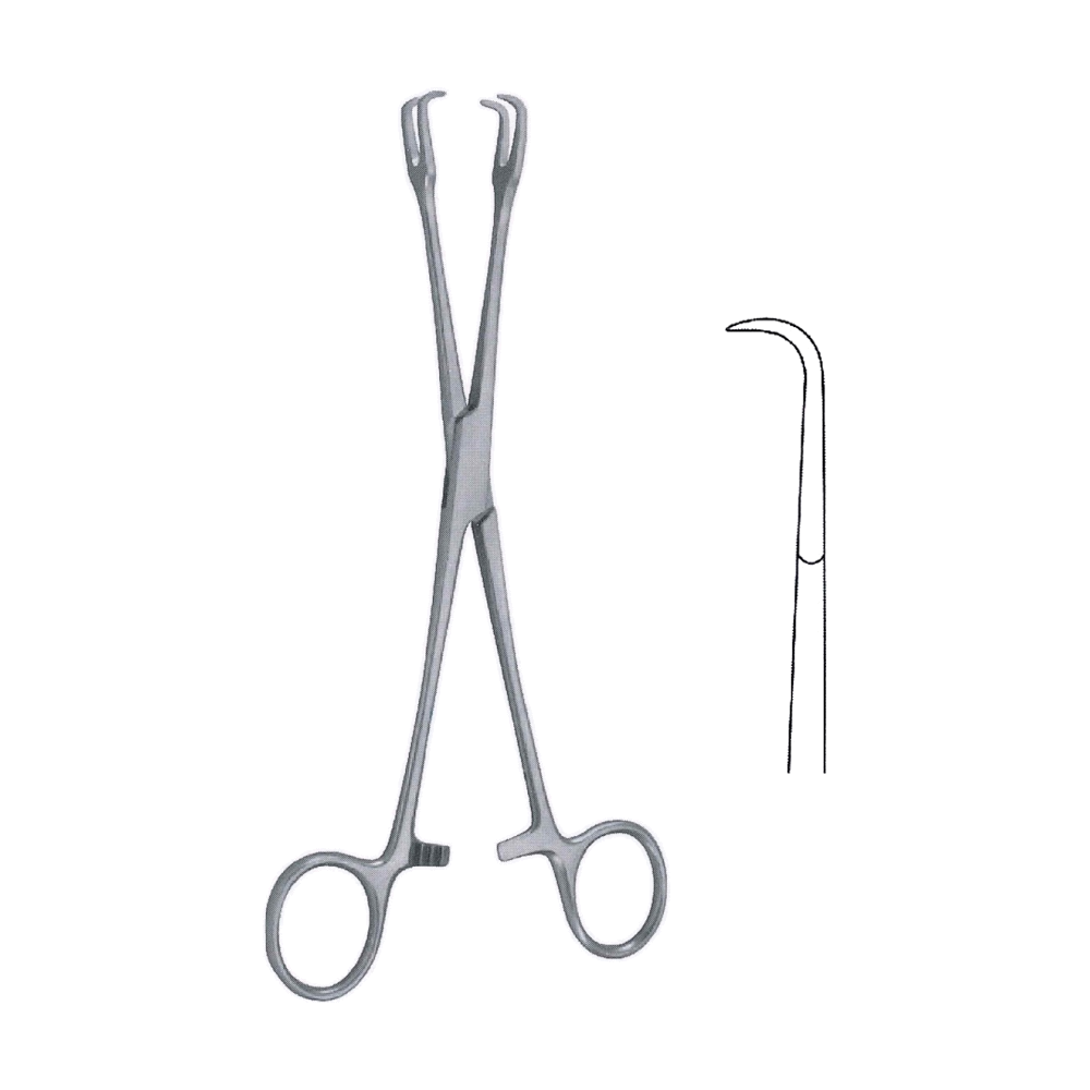 Museux Tonsil Holding Forceps 20 cm, 8" (MB10-327)