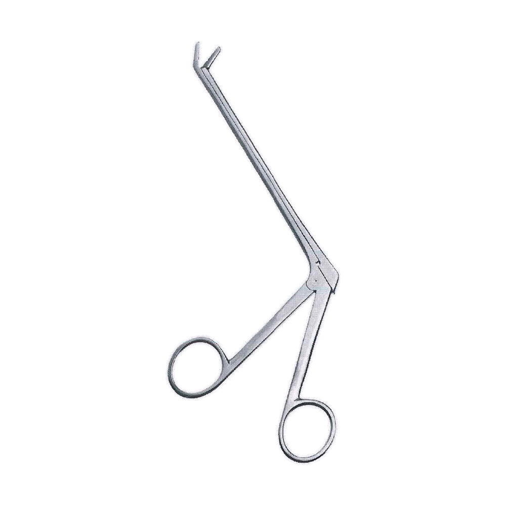 Caspar Type Intervertebral Disc Rongeurs 6.25", Straight, 2 x 12mm (MB11-175)