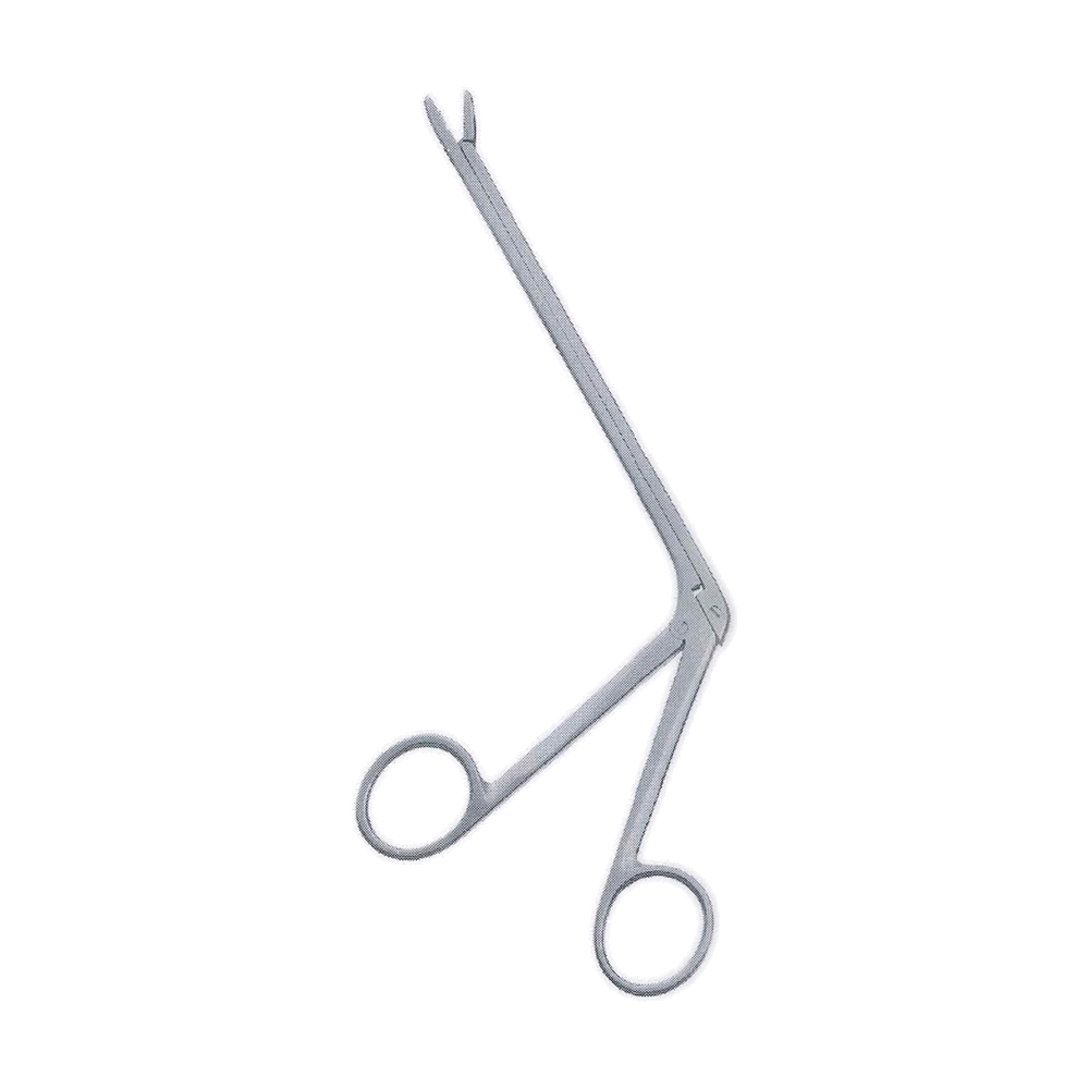 Cushing Intervertebral Disc Rongeurs with Teeth, 2 x 10 mm, 7", Straight (MB11-197)