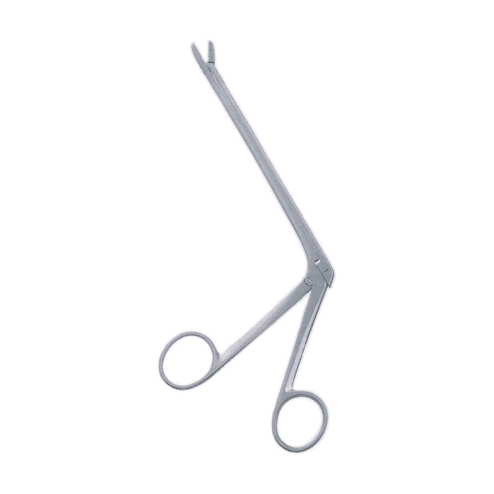 Schlesinger Intervertebral Disc Rongeurs 2 x 10 mm, 5", Straight (MB11-231)