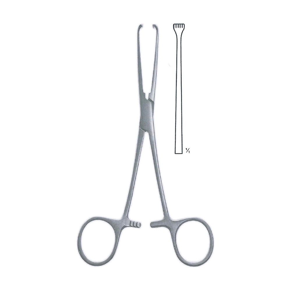 Allis Tissue Forceps 15.5 cm, 6", 4x5 Teeth (MB12-002)