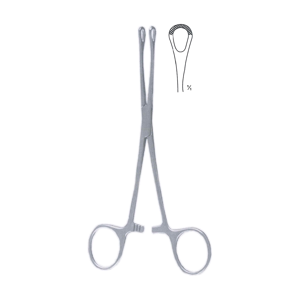 Williams Grasp Forceps 16 cm, 6 1/4" (MB12-007)