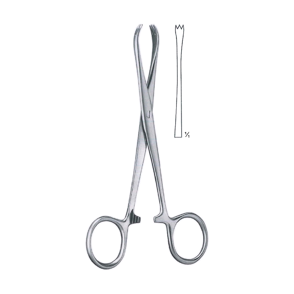 Chaput Tissue Forceps 12.5 cm, 5", 2x3 Teeth, Sharp (MB12-008)