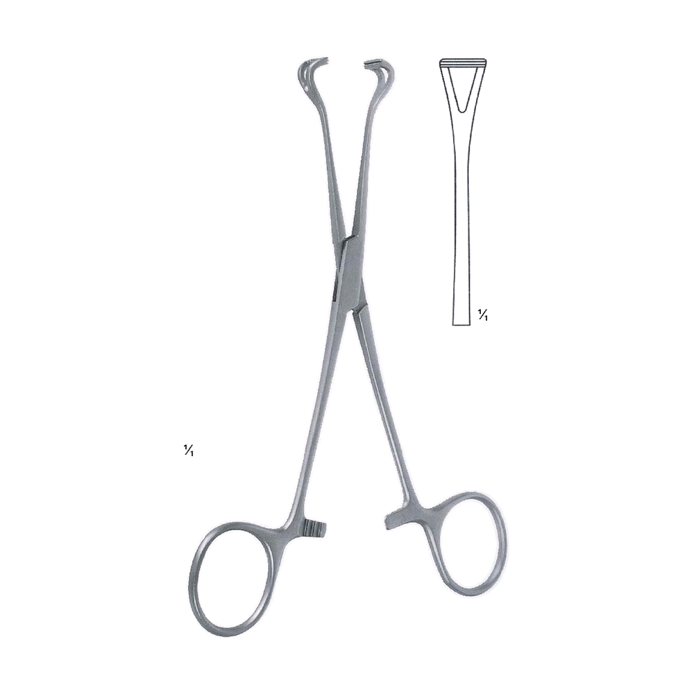 Babcock Seizing Forceps 15.5 cm, 6" (MB12-014)