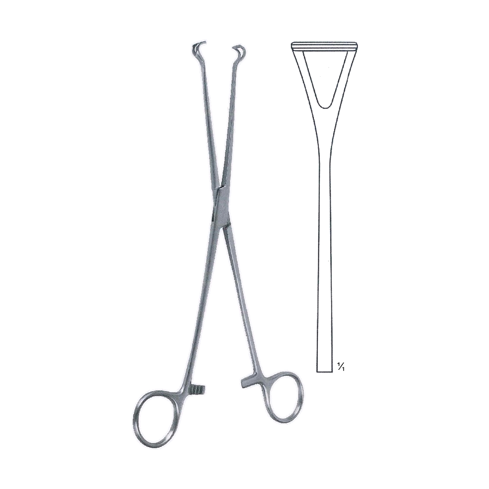 Babcock Seizing Forceps 22 cm, 8 3/4" (MB12-017)
