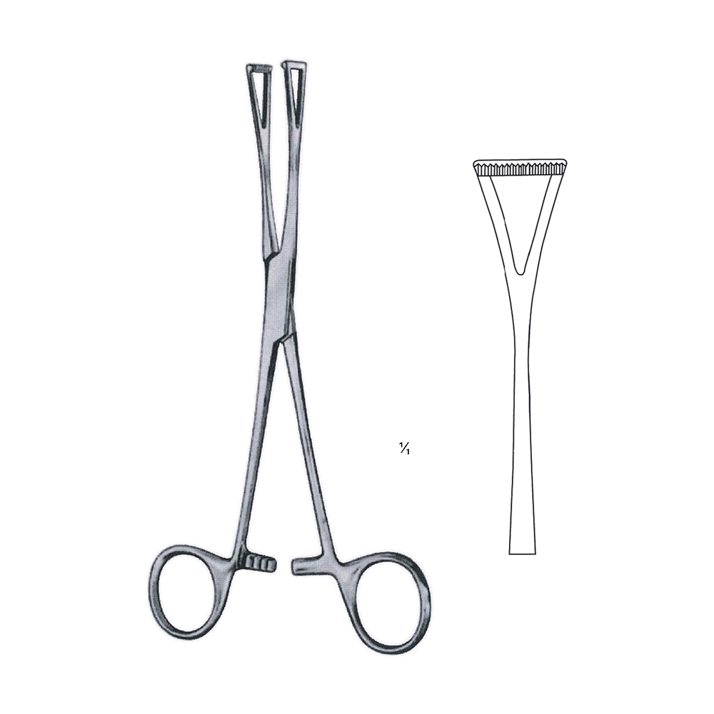 Duval Tissue Grasping Forceps 19 cm, 7 1/2" (MB12-022)