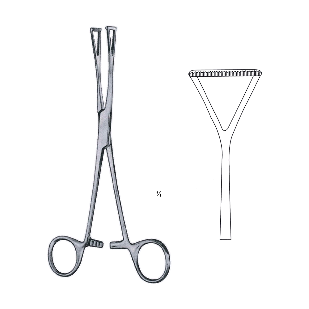 Duval Tissue Grasping Forceps 20 cm, 8" (MB12-024)