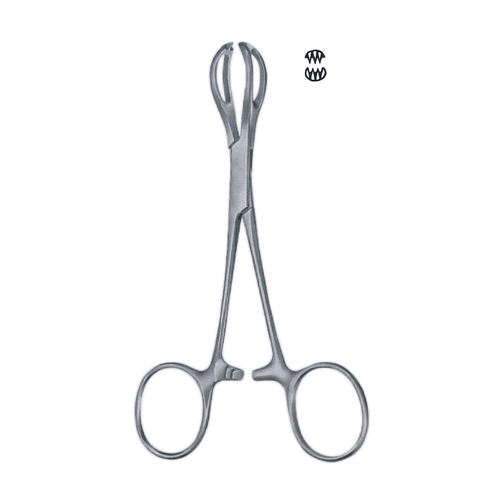 Lane Tissue Grasping Forceps 12.7 cm, 5" (MB12-028)