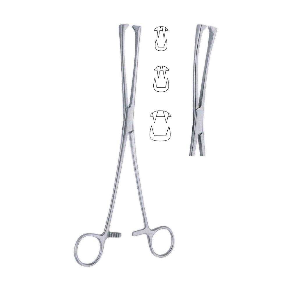 Museux Tenaculum Forceps 24.0 cm, 9 1/2″ – 8 mm (MB13-285)