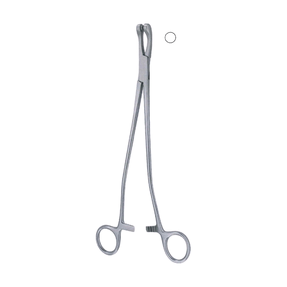 Thoms-Gaylor Biopsy Forceps 22.0 cm, 8 3/4″ (MB13-292)