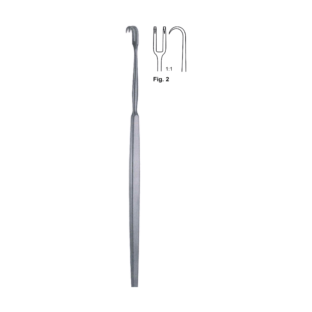 Simon Fistula Hook, Two Prong Fig. 2 22.0 cm, 8 3/4″ (MB13-318)
