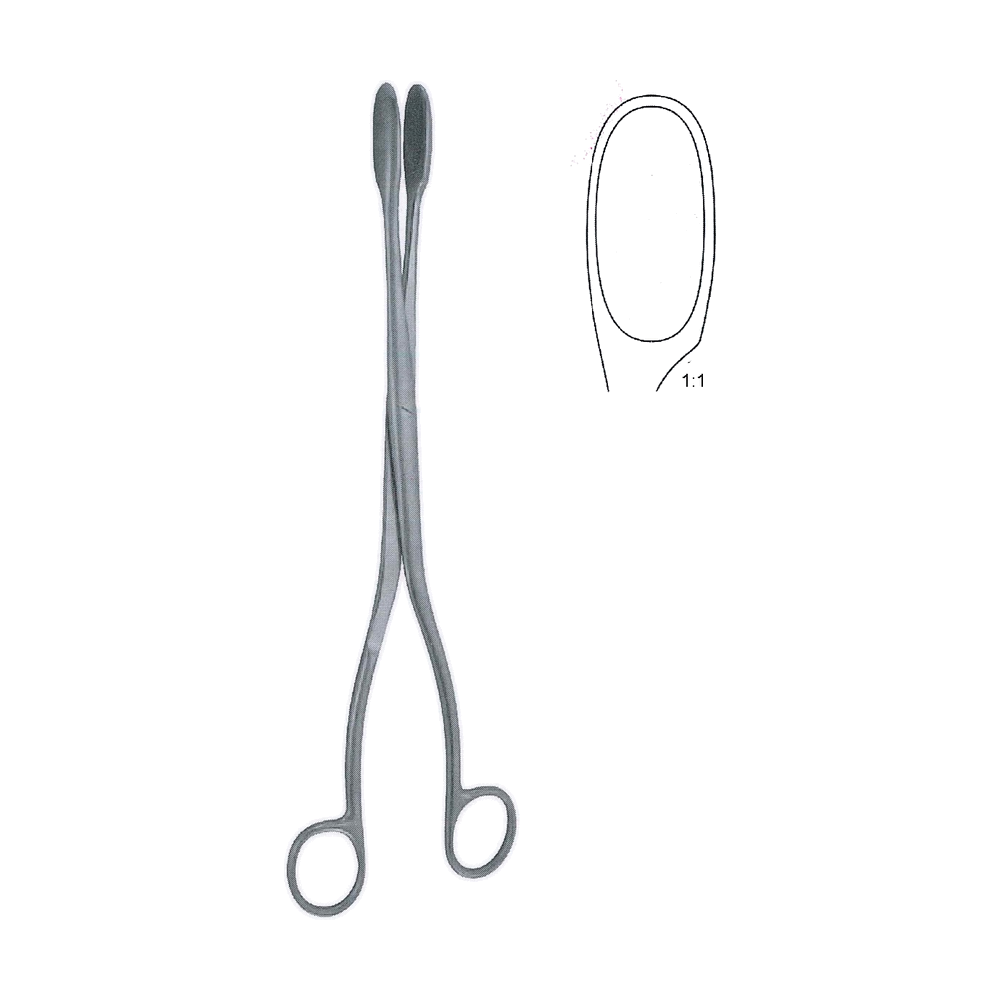 Winter Abortion Forceps 28.0 cm, 11″ – Curved (MB13-541)