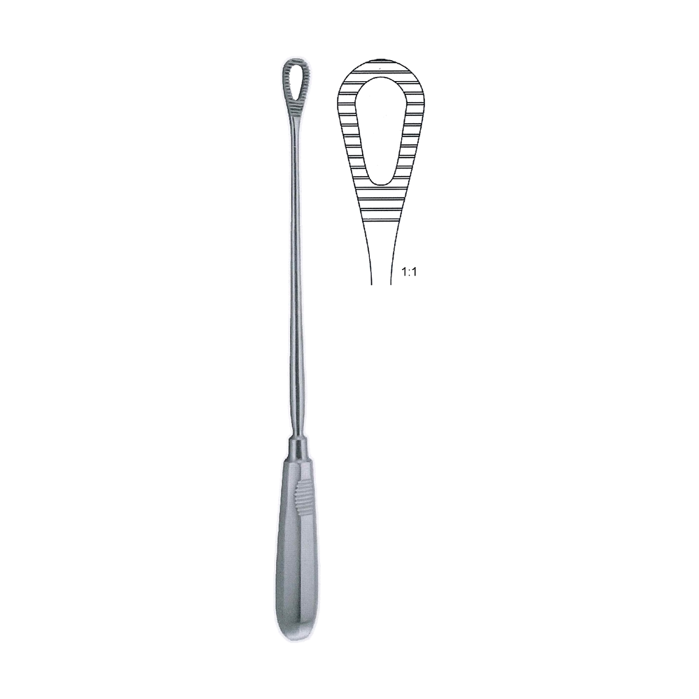 Pestalozza Ovum Curette 30.0 cm, 12″ (MB13-550)