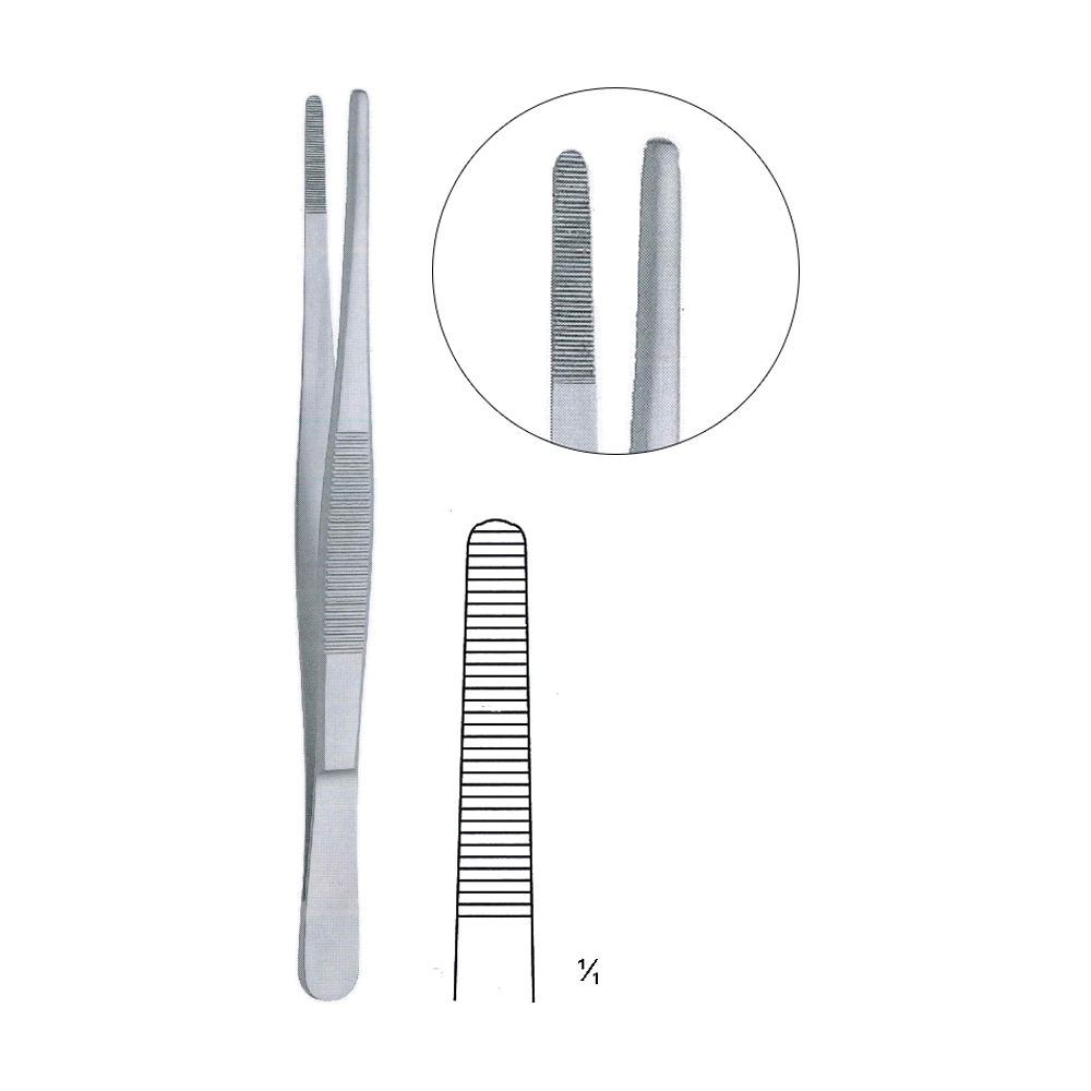 Standard Dressing Forceps 30 cm, 12", Serrated (MB5-009)