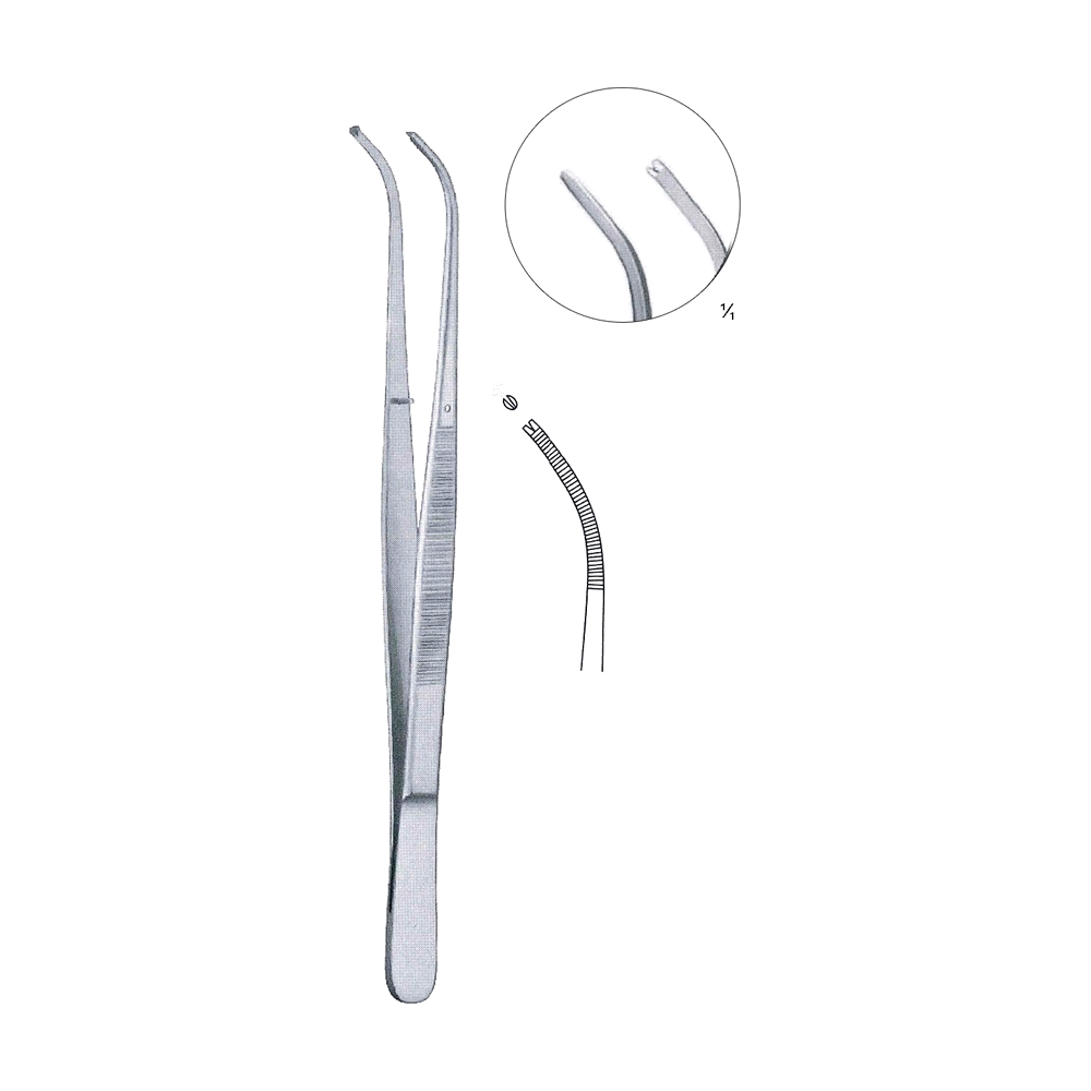 Brophy Tissue Forceps 20 cm, 8", Curved, Serrated (MB5-080)