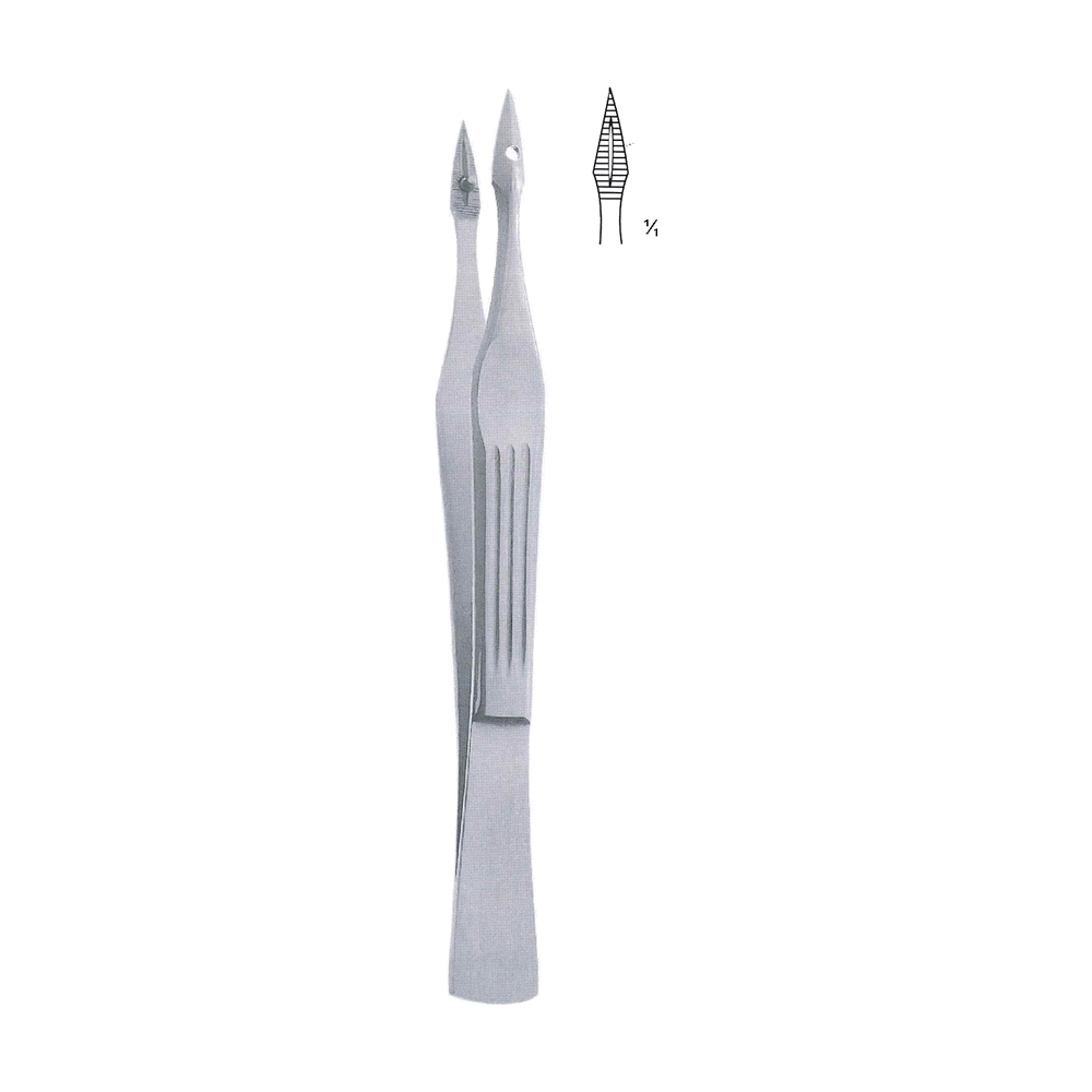 Carmalt Forceps 10.5 cm, 4", Straight (MB5-297)