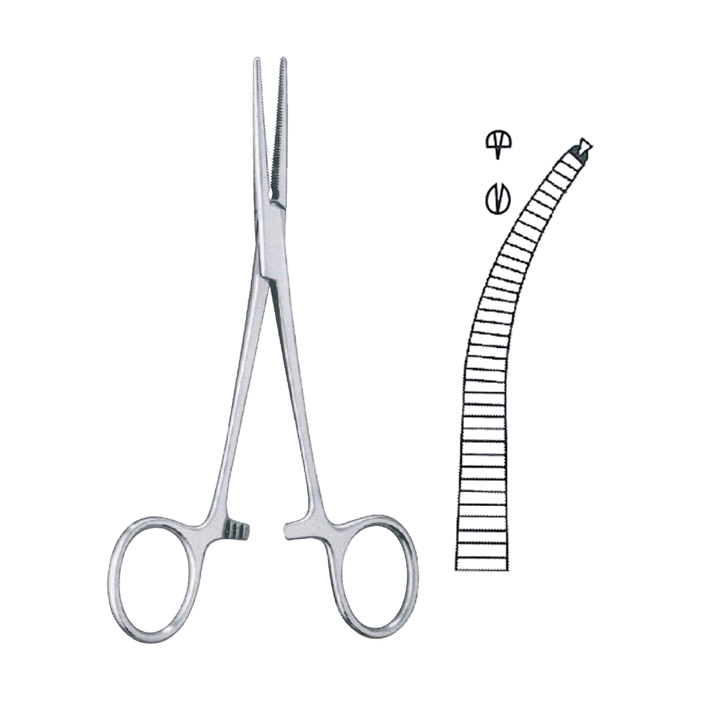 Crile Haemostatic Tissue Forceps (Rat Tooth 1x2 Teeth) (Kocher) 14 cm, 5 1/2", Curved (MB6-026)