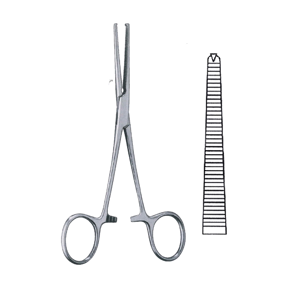 Kocher Haemostatic Forceps 13 cm, 5", Straight (MB6-072)