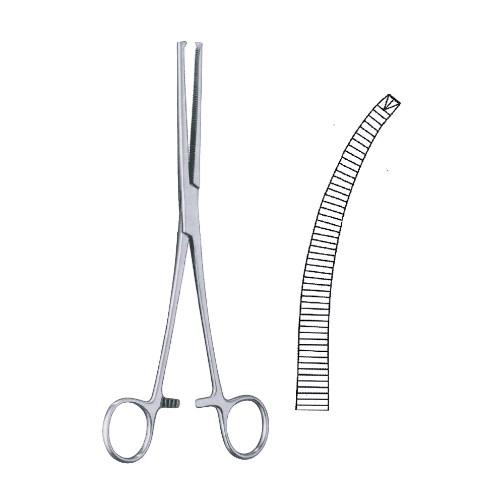 Kocher-Ochsner Haemostatic Forceps 16 cm, 6 1/4", Curved 1x2 Teeth (MB6-112)