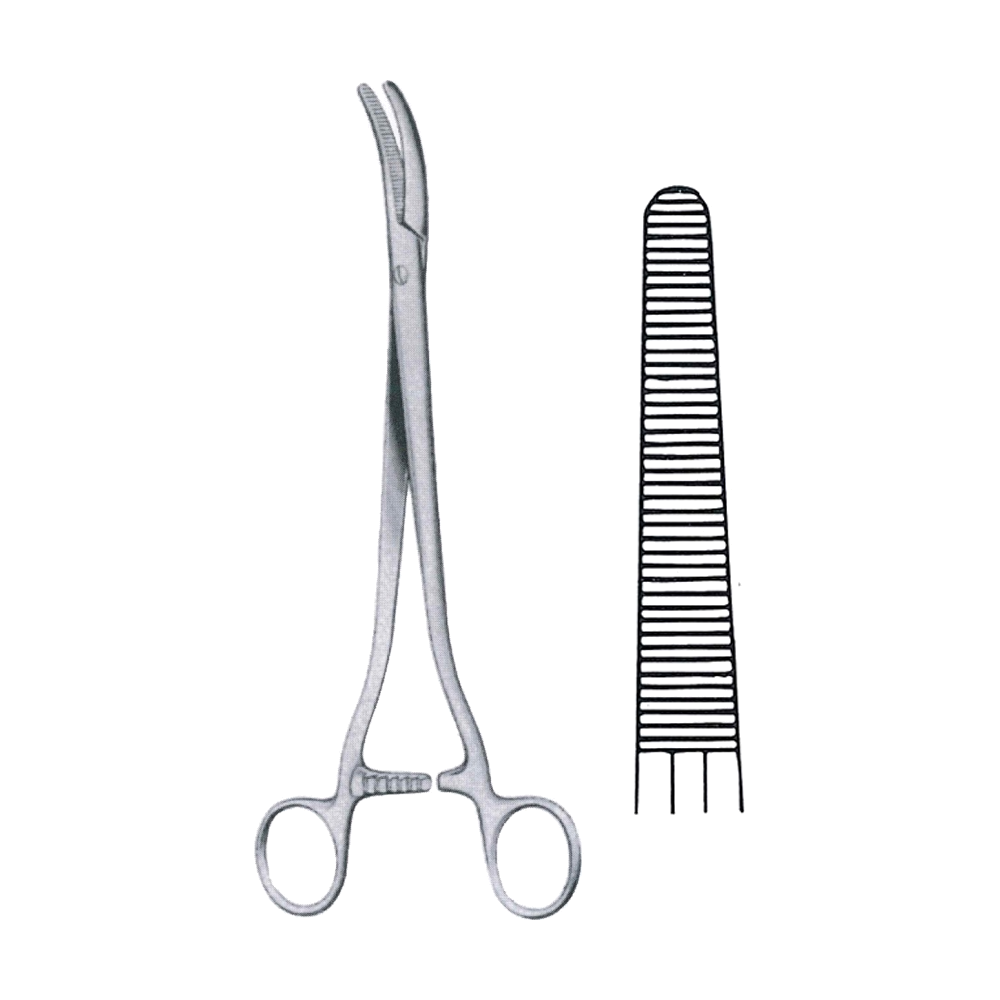 Segond-Landau Haemostatic Forceps 24 cm, 9 1/2", Straight (MB6-181)
