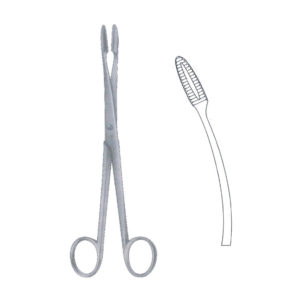 Gross Maier Dressing Forceps (Bullet Holding Forceps) 26.5 cm, 10 1/2", Without Ratchet (MB6-285)