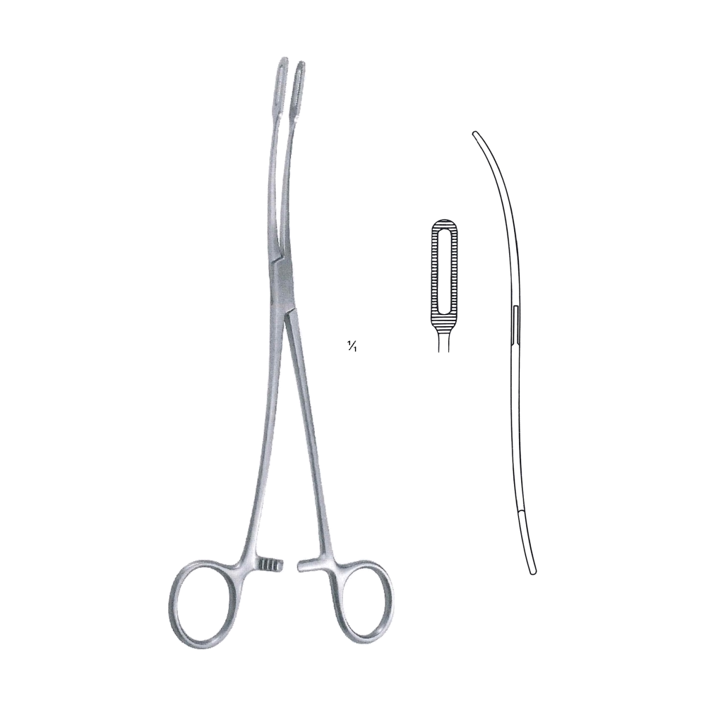 Fletcher Sponge Forceps 24 cm, 9 1/2", Slight Curve (MB6-300)