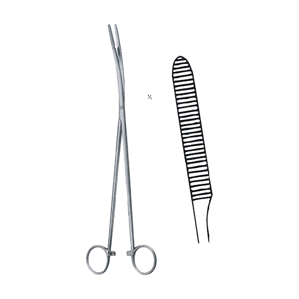 Pelkmann Sponge Forceps 25 cm, 10", Curved (MB6-302)