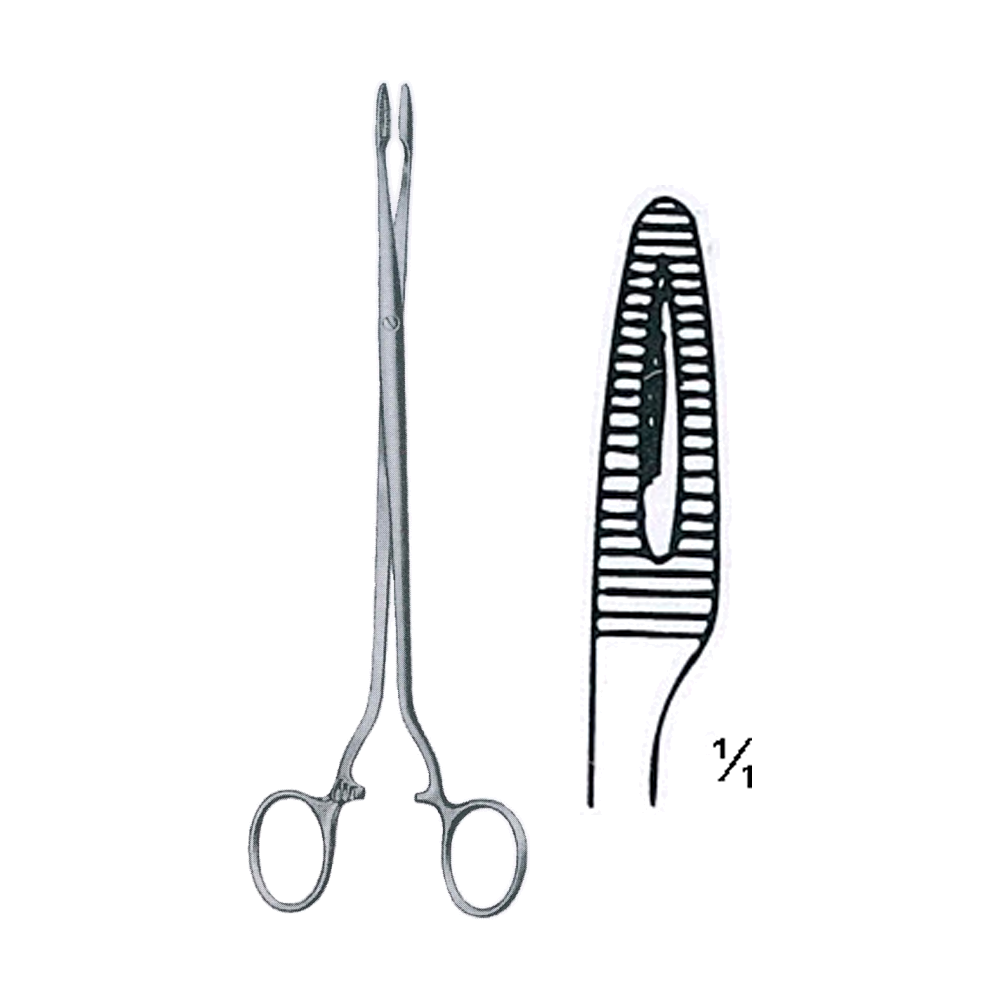 Duplay Sponge Forceps 20.5 cm, 8", Straight (MB6-304)