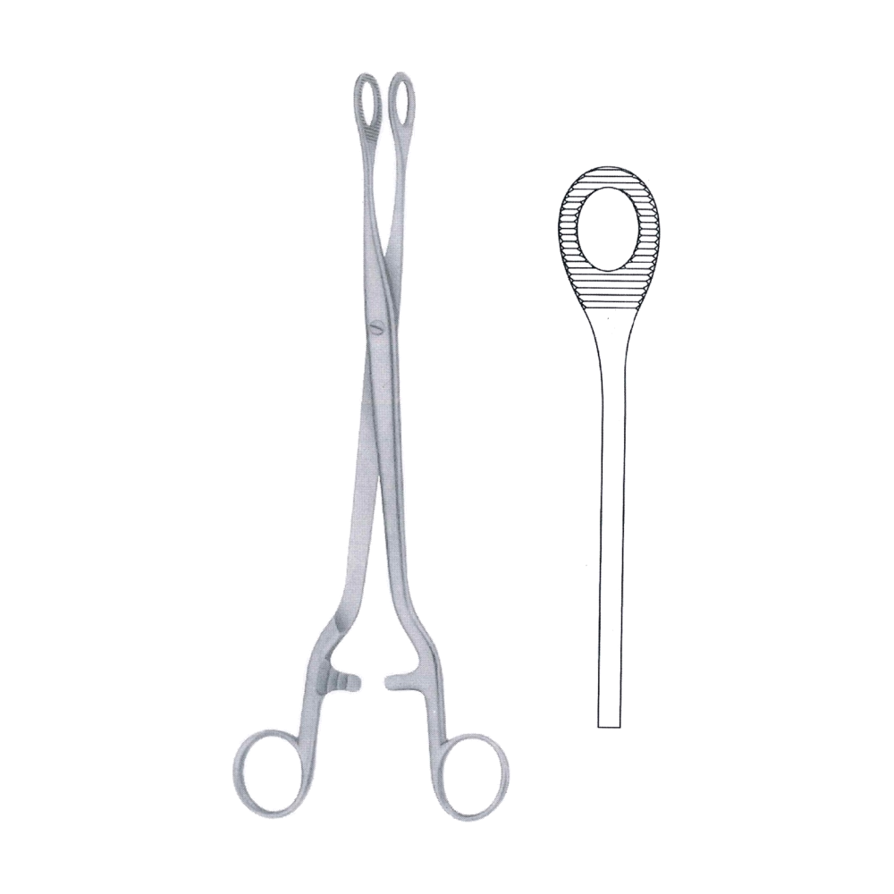 Noto Sponge & Dressing Forceps 28 cm, 11" (MB6-311)