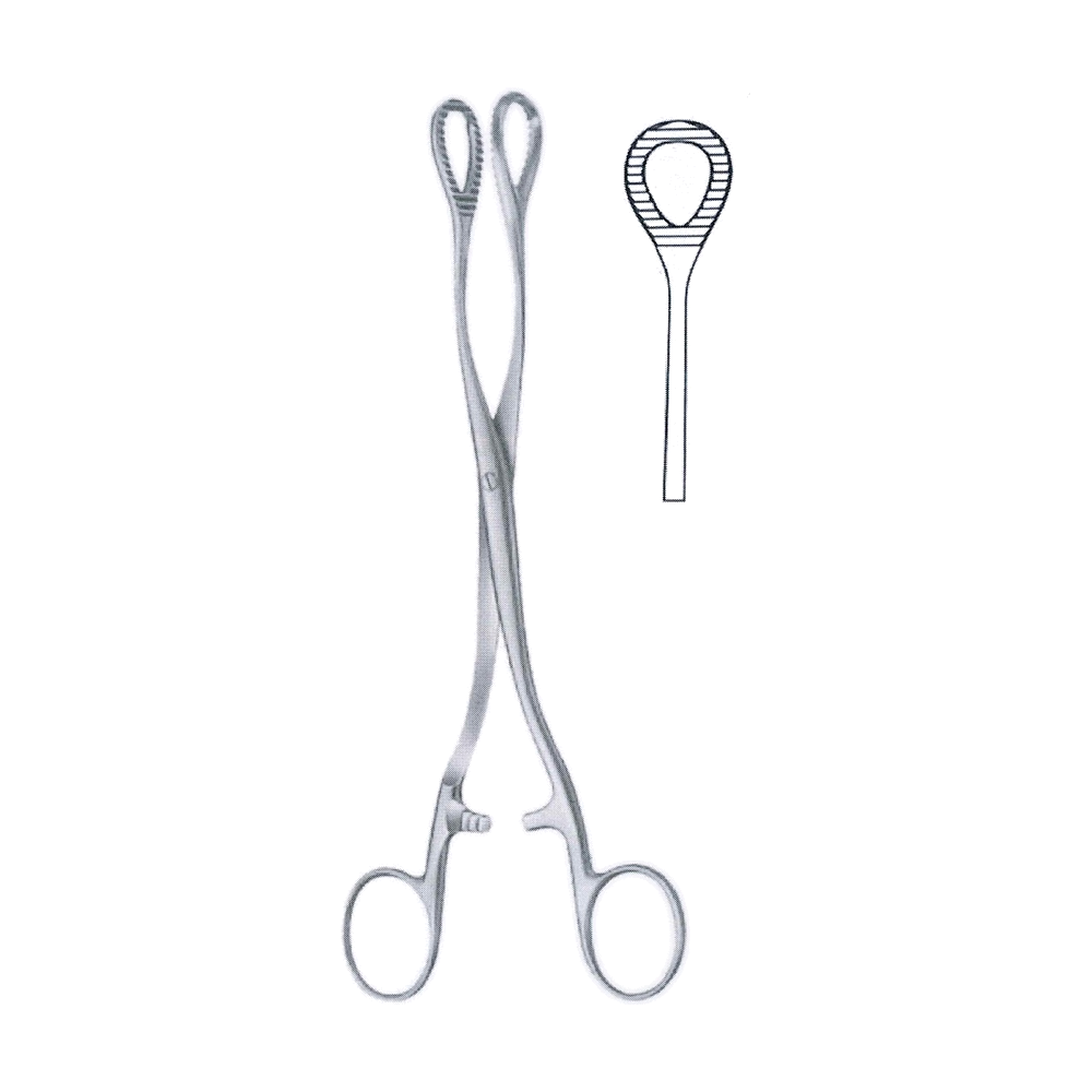 Heywood-Smith Sponge & Dressing Forceps 20 cm, 8" (MB6-329)