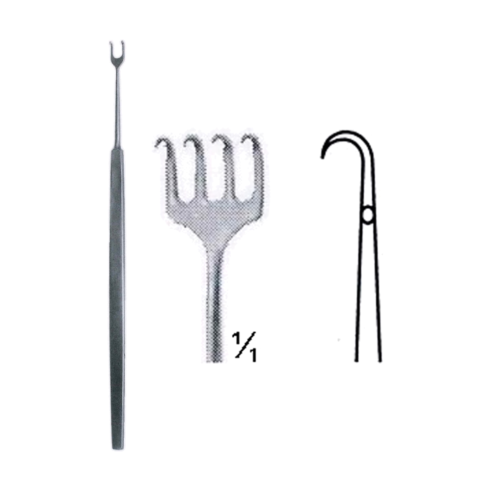 Rollet Hook 13 cm, 5", 4 Sharp Prong, 2 mm Diameter, 5 mm Wide (MB8-016)