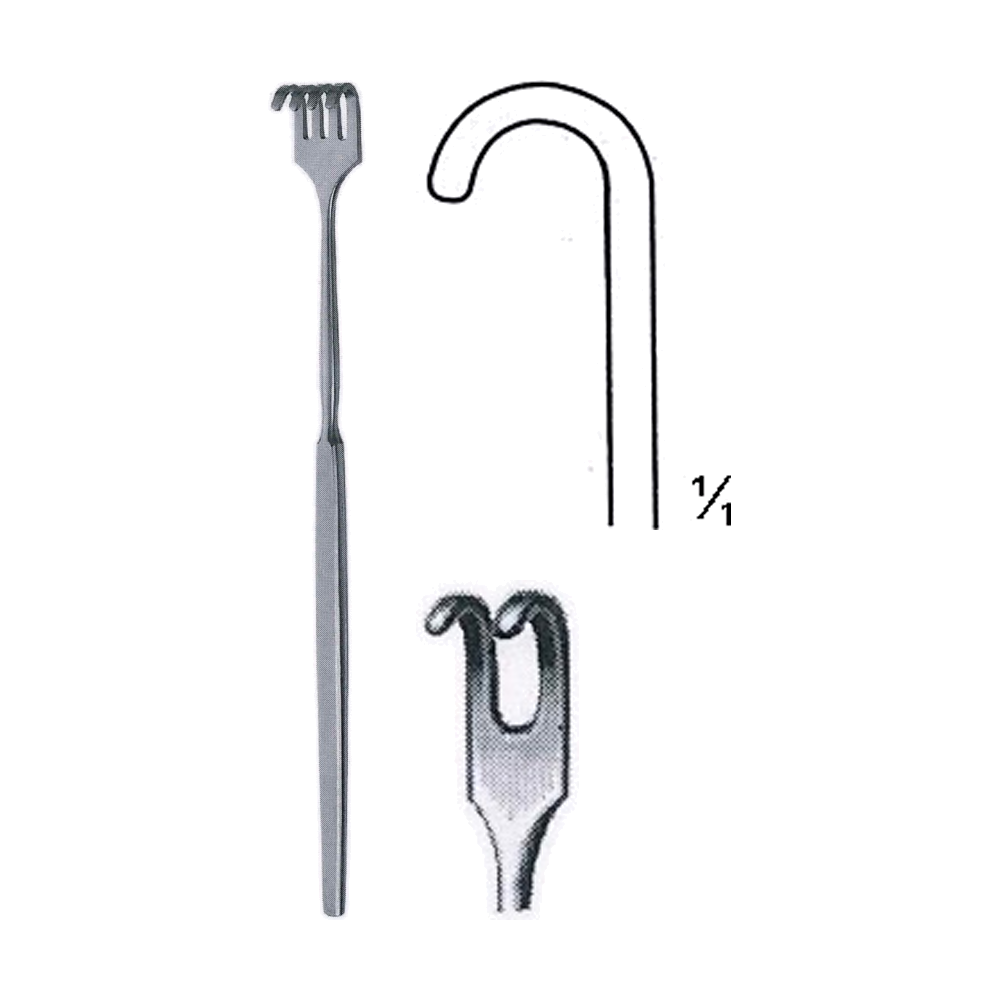 Tracheal Retractor 16.5 cm, 6 1/2", 2 Prong, Blunt (MB8-052)