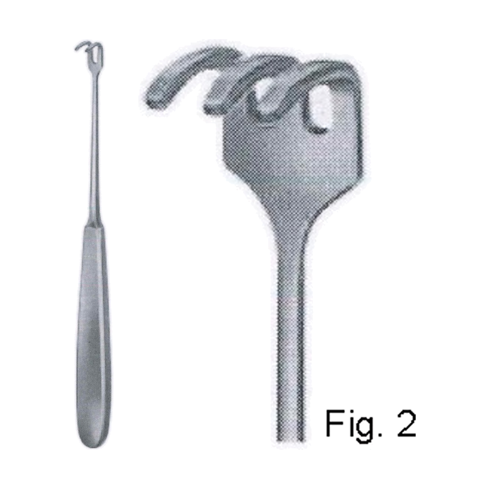 Tendon Hooks Retractor 17.5 cm, 7", 12 x 11 mm, Fig. 2 (MB8-243)