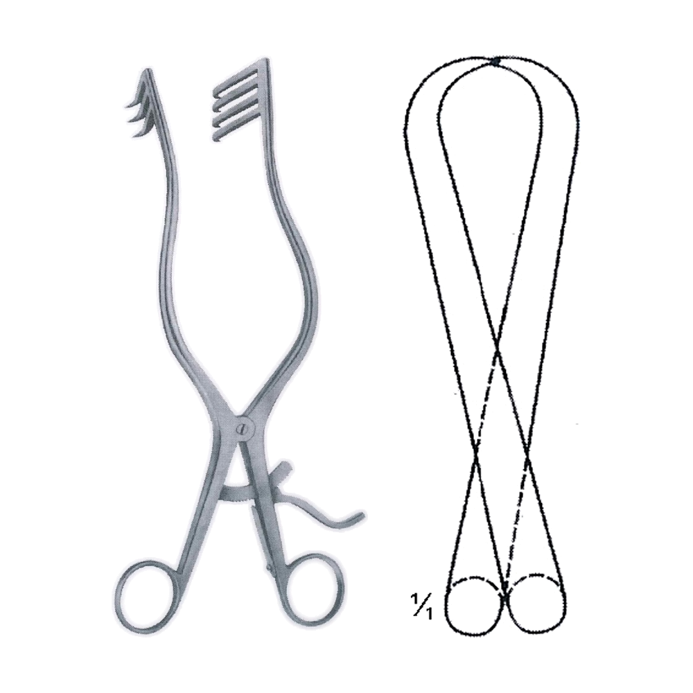 Adson Retractor 26.5 cm, 10 1/4", Sharp (MB8-509)