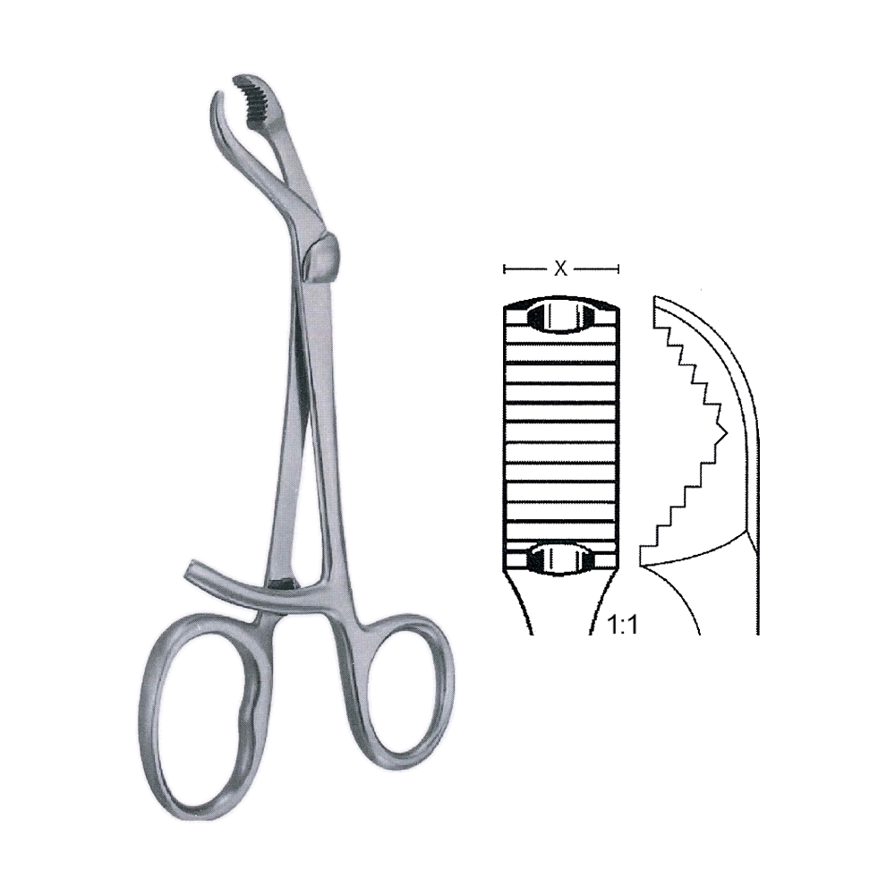 Verbrugge Bone Holding Forceps 26 cm, 10 1/4", 10.5 mm (MB9-903)