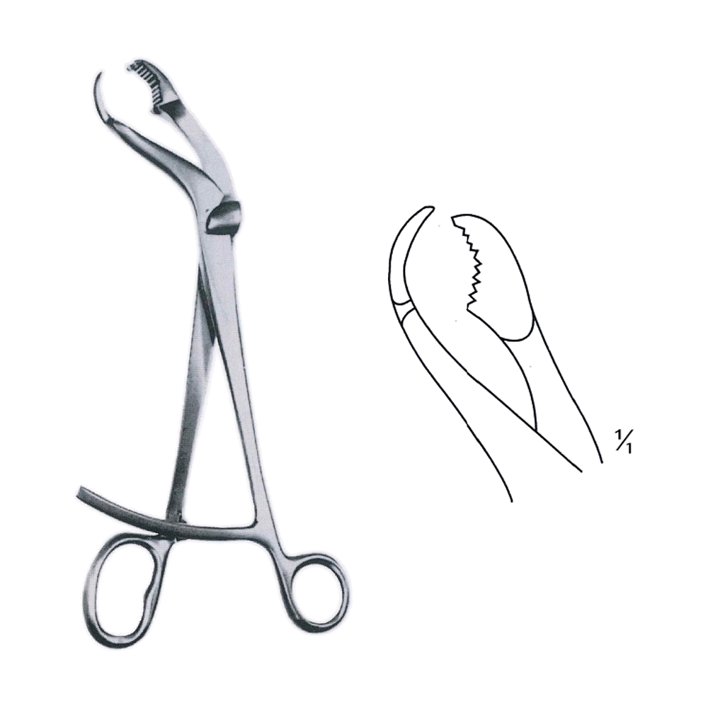 Verbrugge Bone Holding Forceps 25 cm, 10" (MB9-918)
