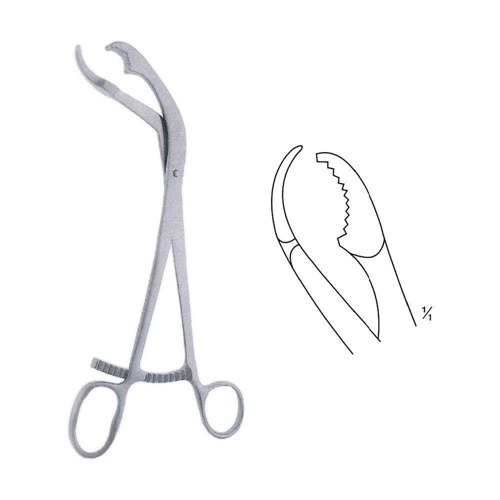 Verbrugge Bone Holding Forceps 25 cm, 10" (MB9-921)