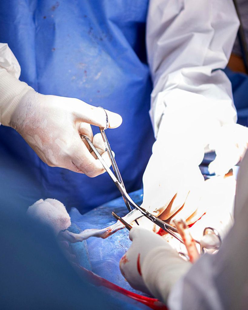 Gynecology & Obstetrics